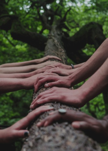 SyncOrigin_Sustainability